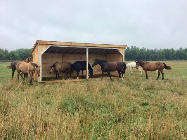 horse tent 12' Horse Run-Ins