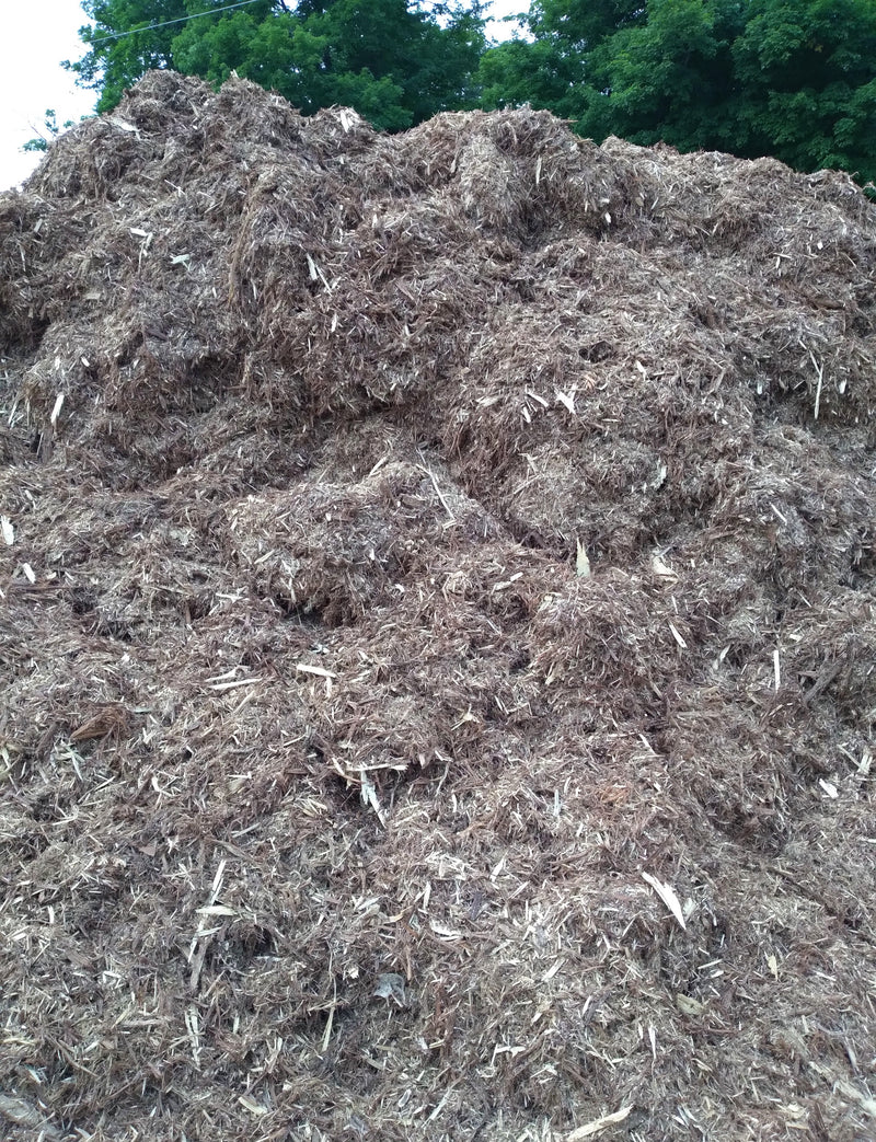Bulk Natural Cedar Mulch – Maxwell Garden Centre
