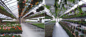   Garden Center 