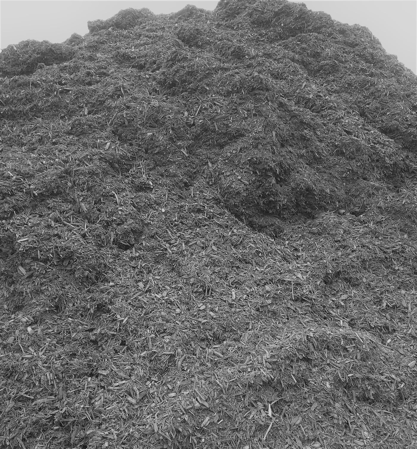 Bulk Black Mulch Maxwell Garden Centre