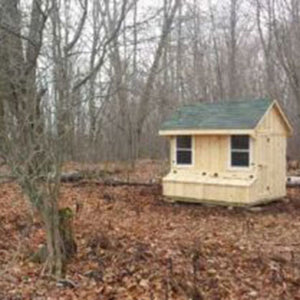 Chicken Coop - Maxwell Garden Centre