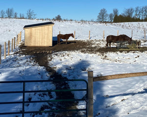 10' Horse Run-Ins - Maxwell Garden Centre